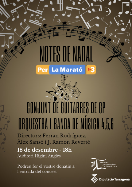 cartell del concert
