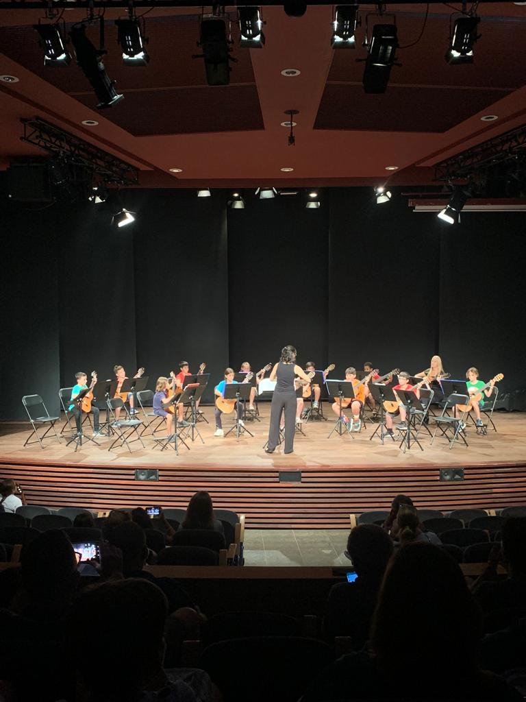 Conjunt de guitarres d'escola