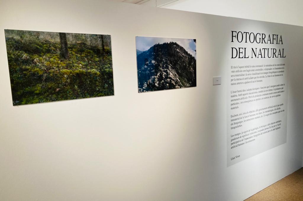 EXPO LLUÍS VIVES