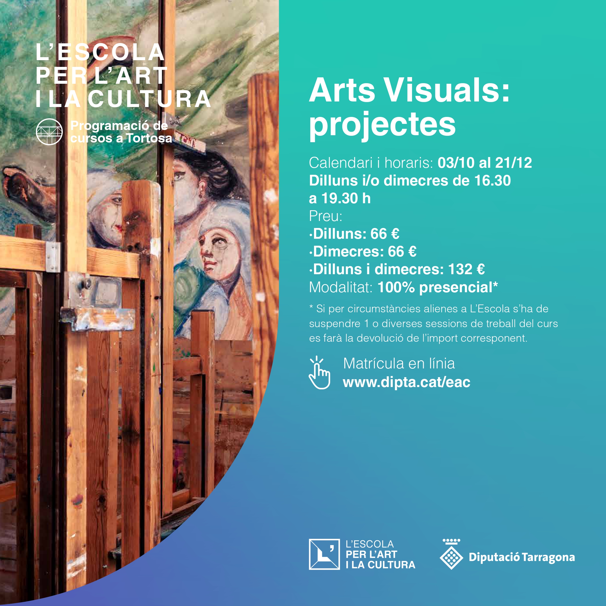 Arts Visuals:projectes