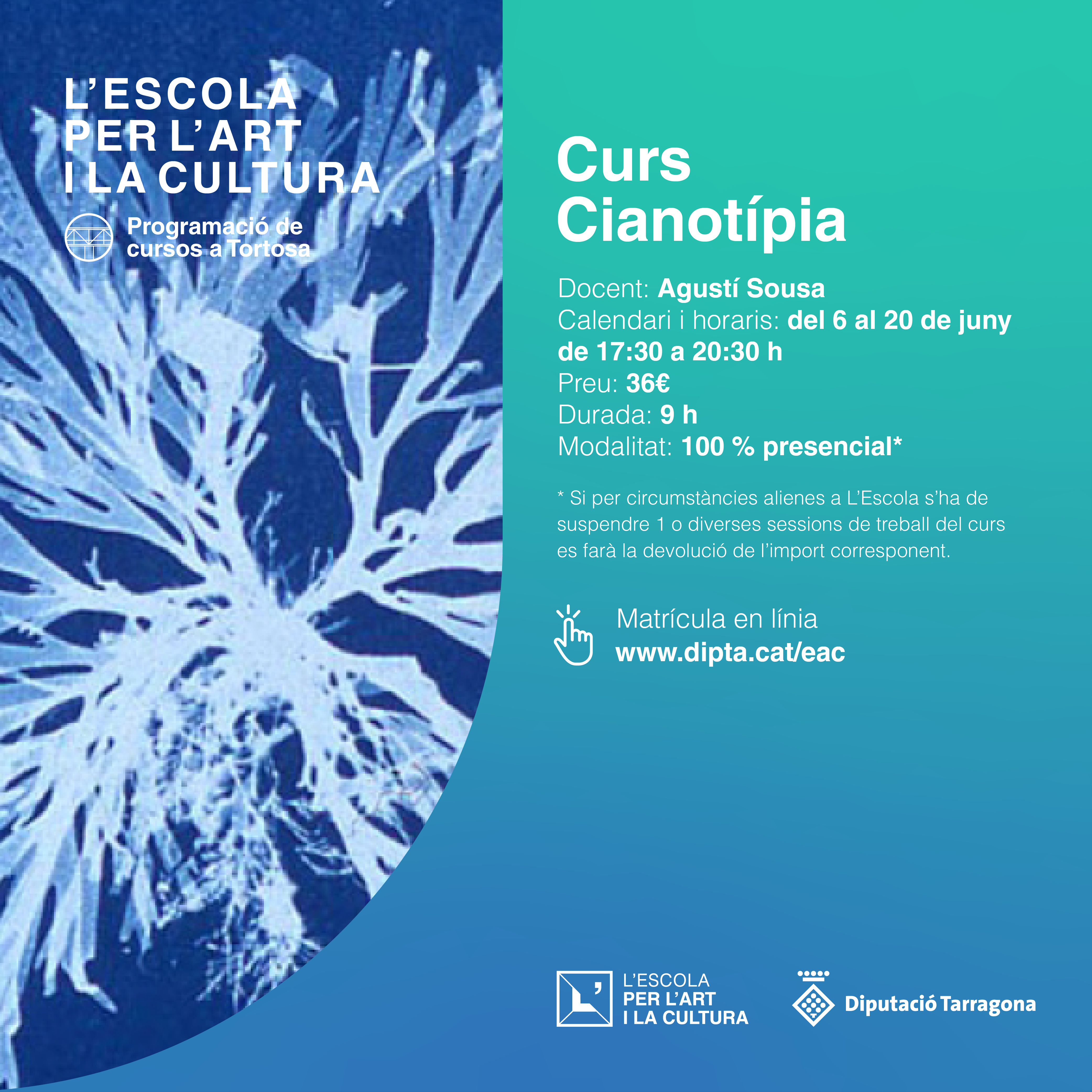 cianotipia