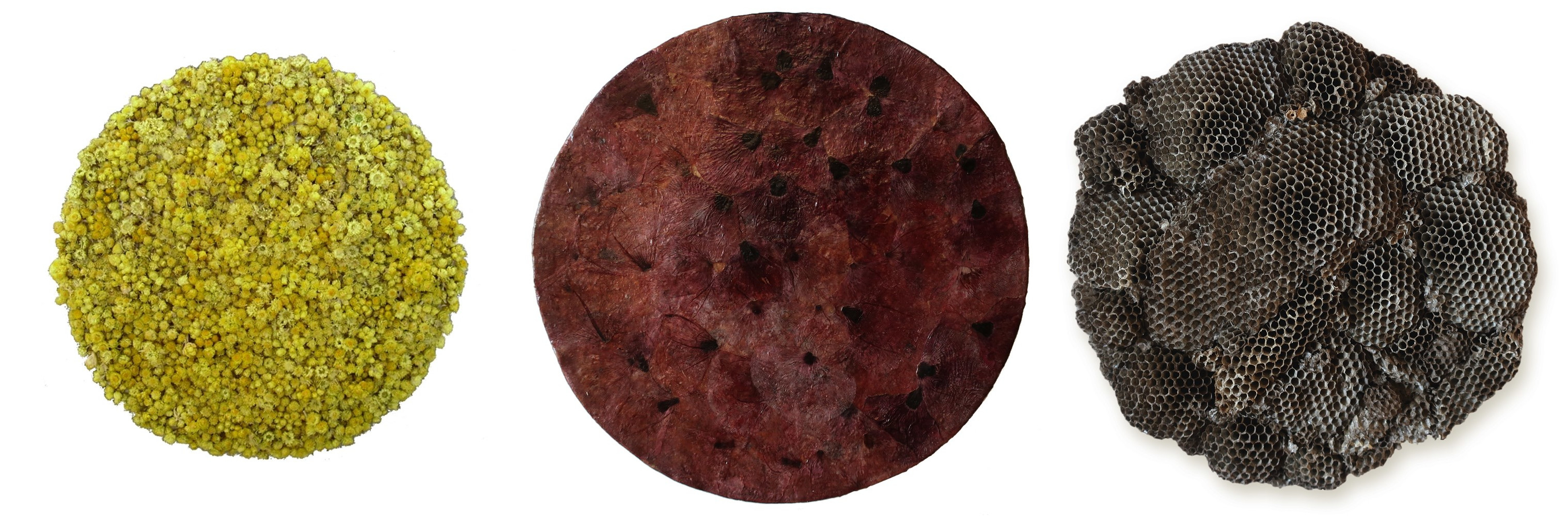 Cosmologies