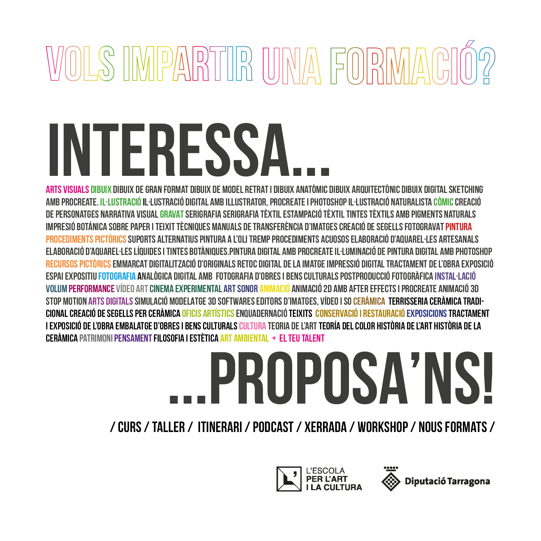 Àmbits i formats
