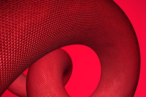 Cua de drac en 3D, imatge de promoció de totes les activitats