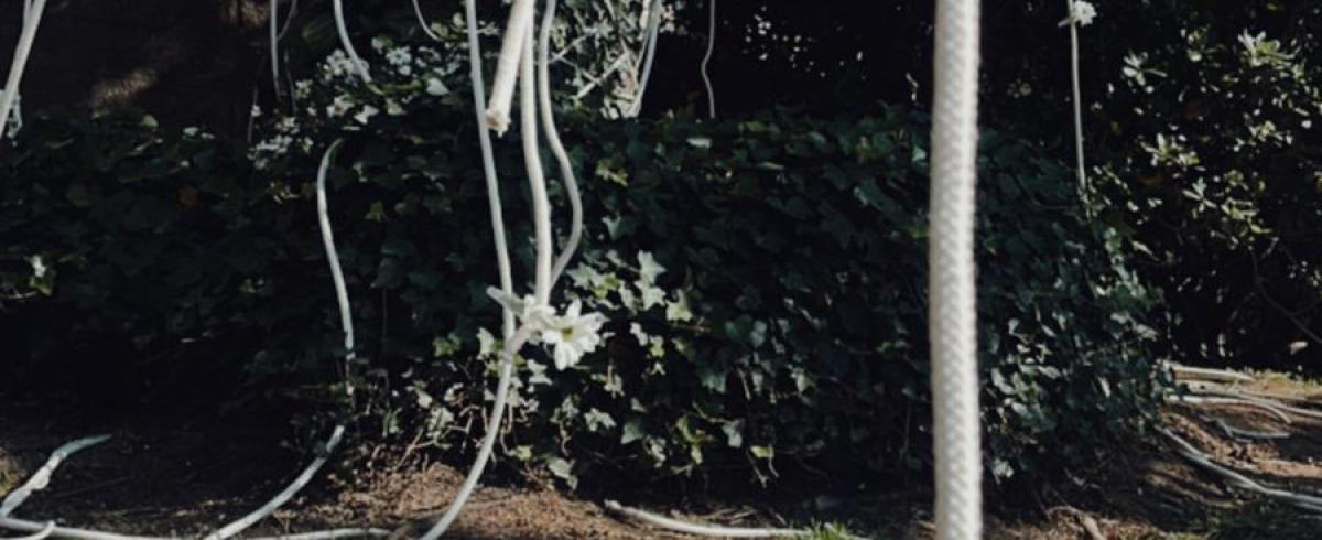 Intervenció Girona Temps de Flors 2024