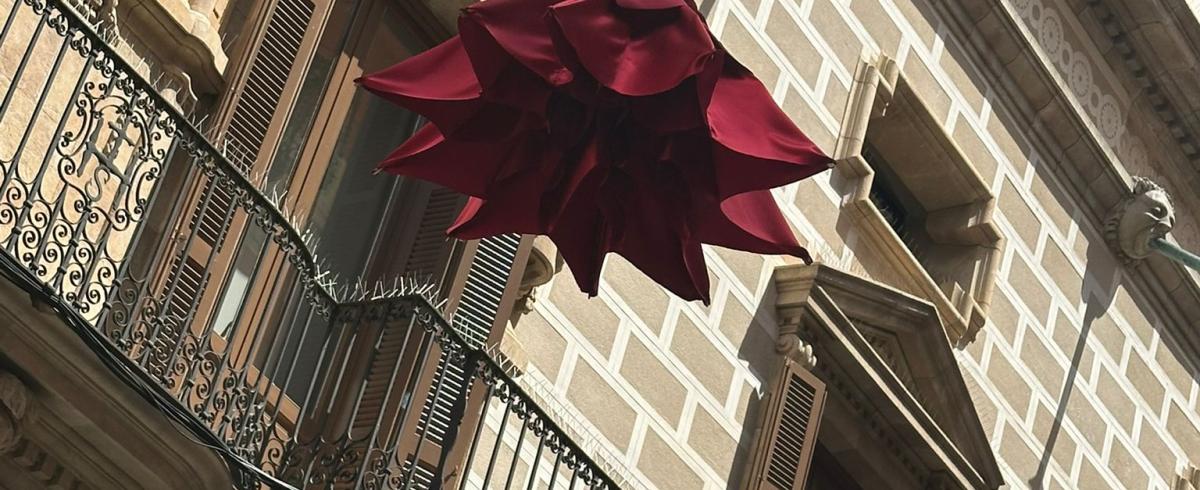 Imatge instal·lació roses de Reus a la Façana del palau bofarull