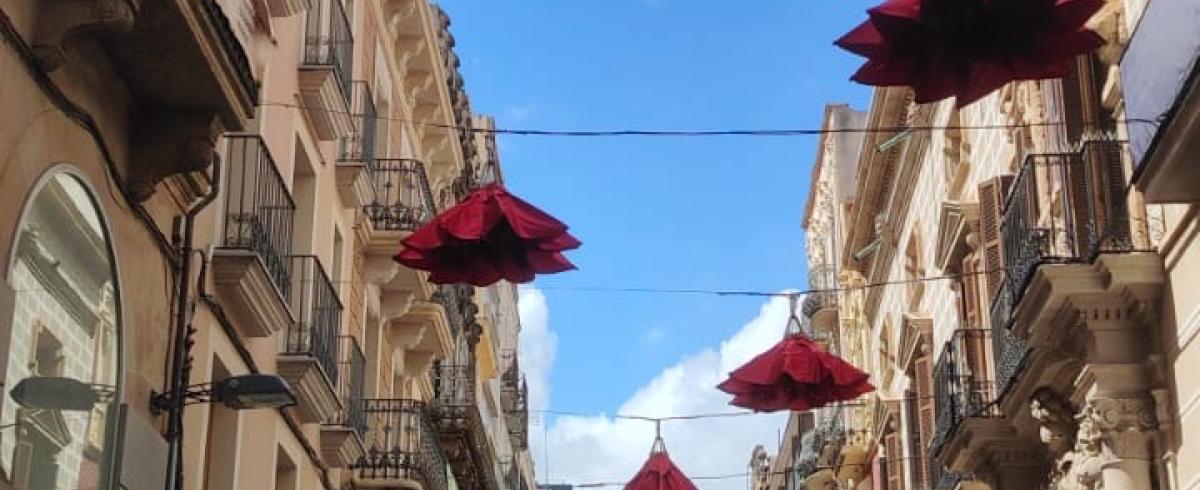 Imatge instal·lació roses de Reus al palau bofarull