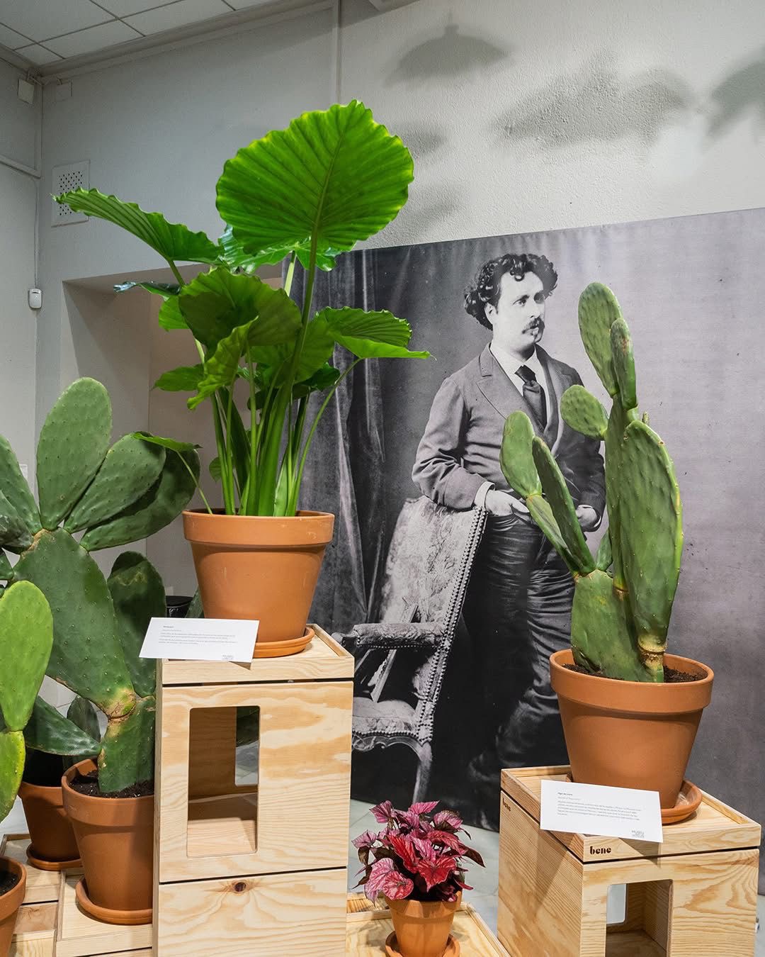 Imatge muntatge efímer amb flors exposició Fortuny