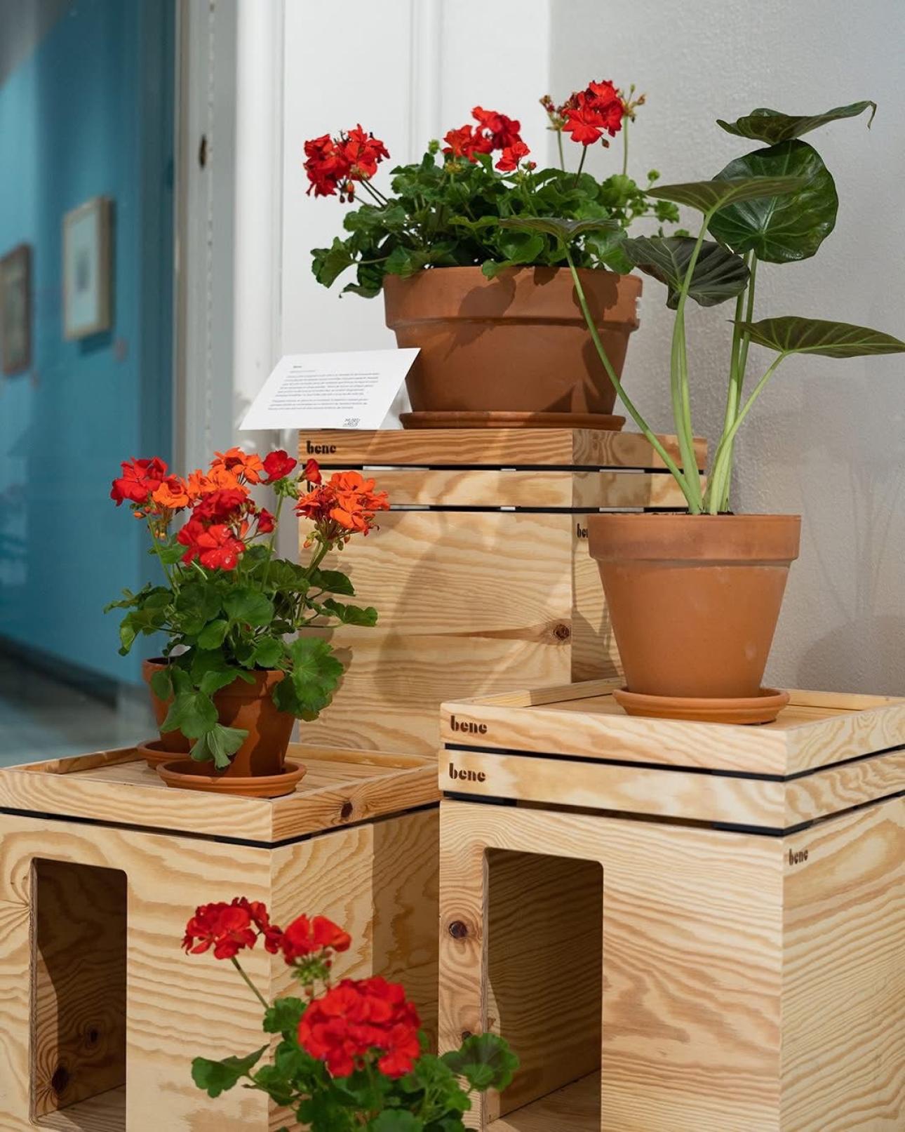 Imatge exposició Fortuny