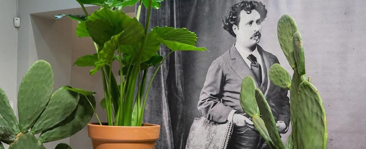 Imatge muntatge efímer amb flors exposició Fortuny