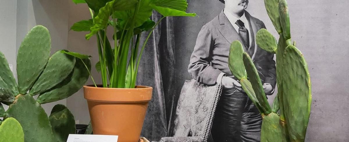 Imatge muntatge efímer amb flors exposició Fortuny