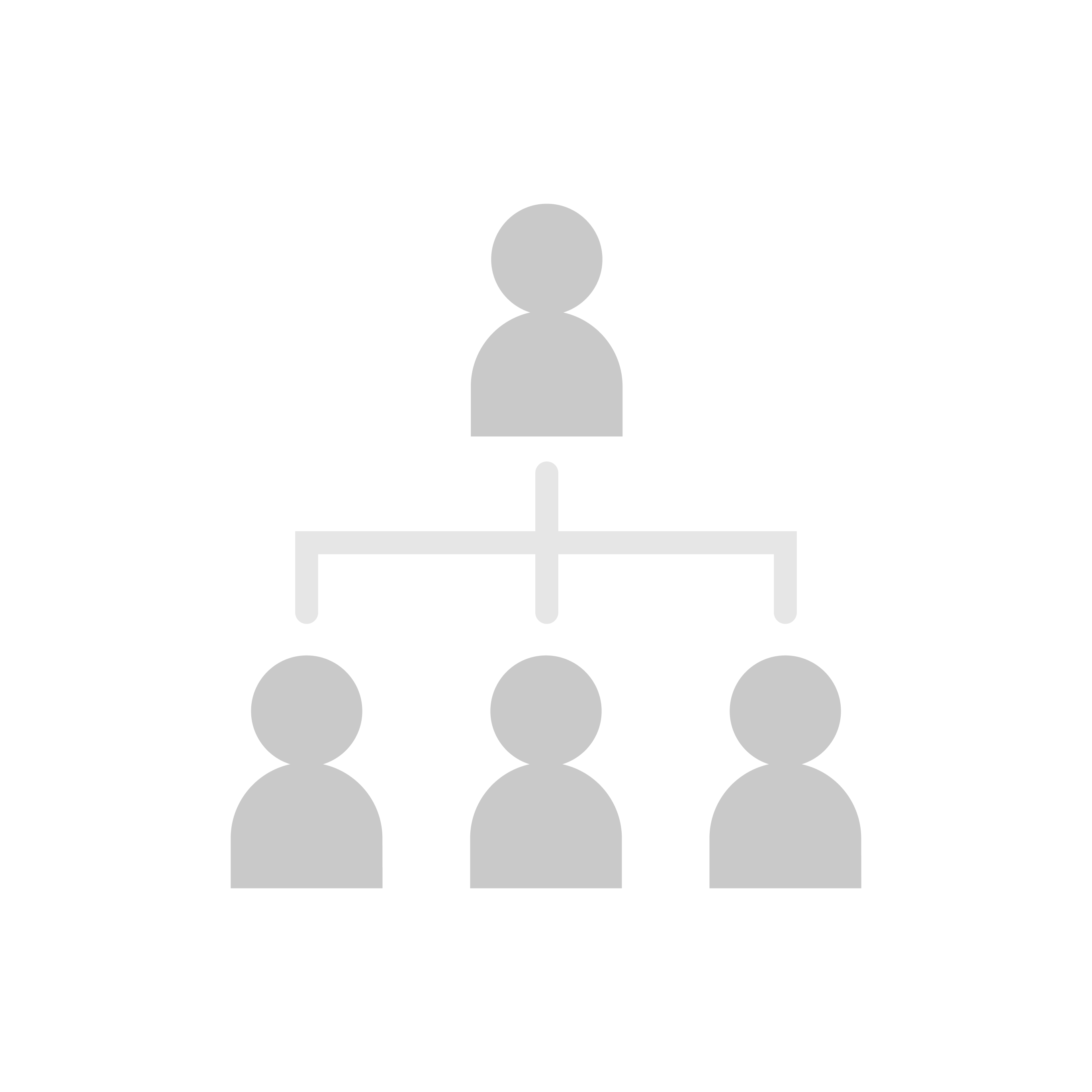 organigrama
