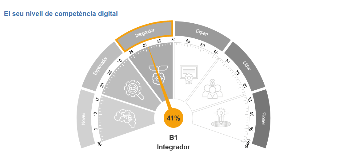 Nivell de competència digital