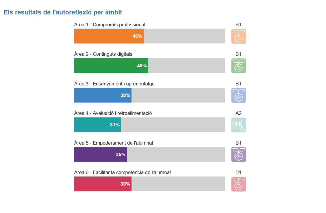 Resultats de l'autoreflexió per àmbits