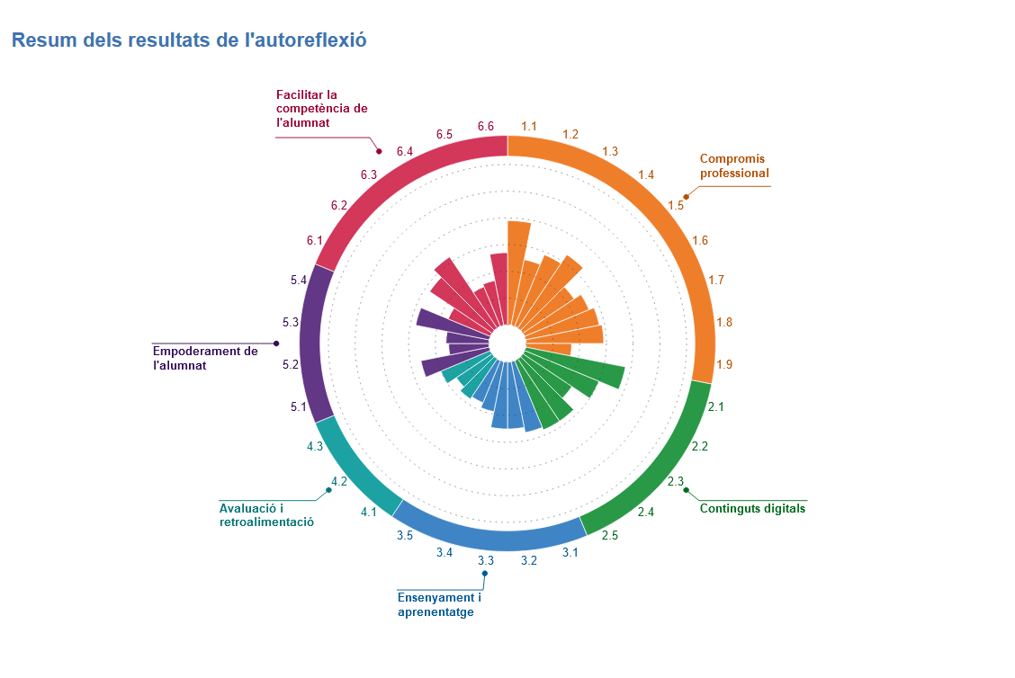 Resum dels resultats de l'autoreflexió