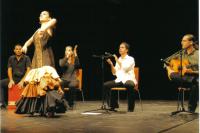 ALQUIMIA FLAMENCO