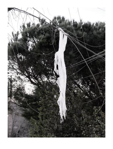 Coses penjades dels arbres