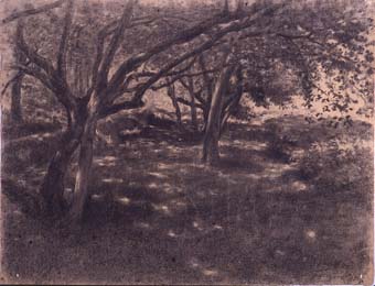 Arbres | Sancho Piqué, Josep