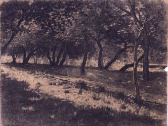 Arbres | Sancho Piqué, Josep