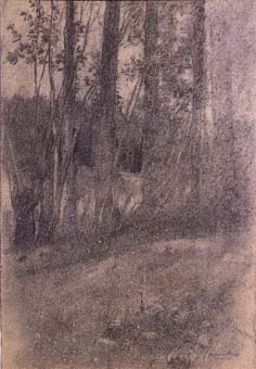 Paisatge amb arbres | Sancho Piqué, Josep