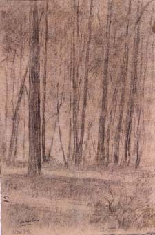 Arbres | Sancho Piqué, Josep