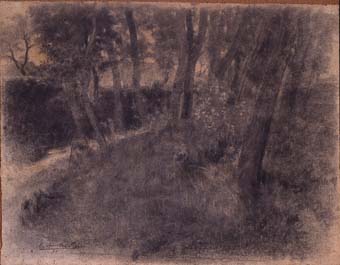 Paisatge, bosc | Sancho Piqué, Josep