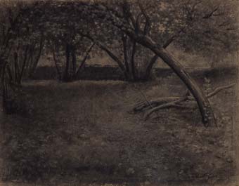 Paisaje, arbres | Sancho Piqué, Josep