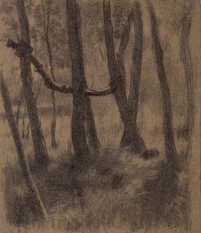 Arbres | Sancho Piqué, Josep