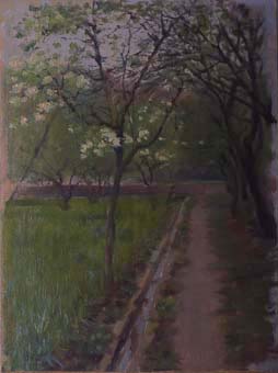 Arbres | Sancho Piqué, Josep