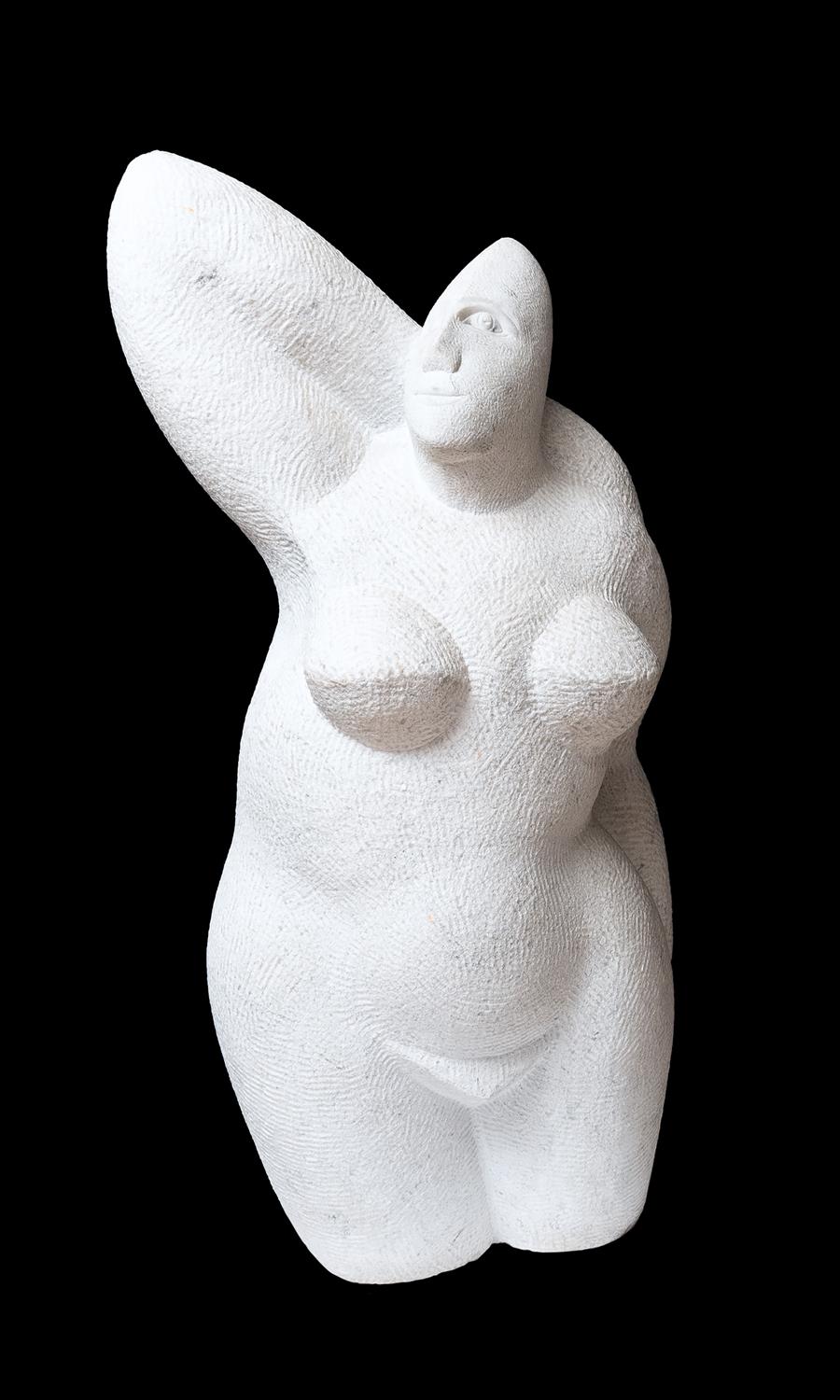 Venus del mirall | Mutlló Pàmies, Jaume
