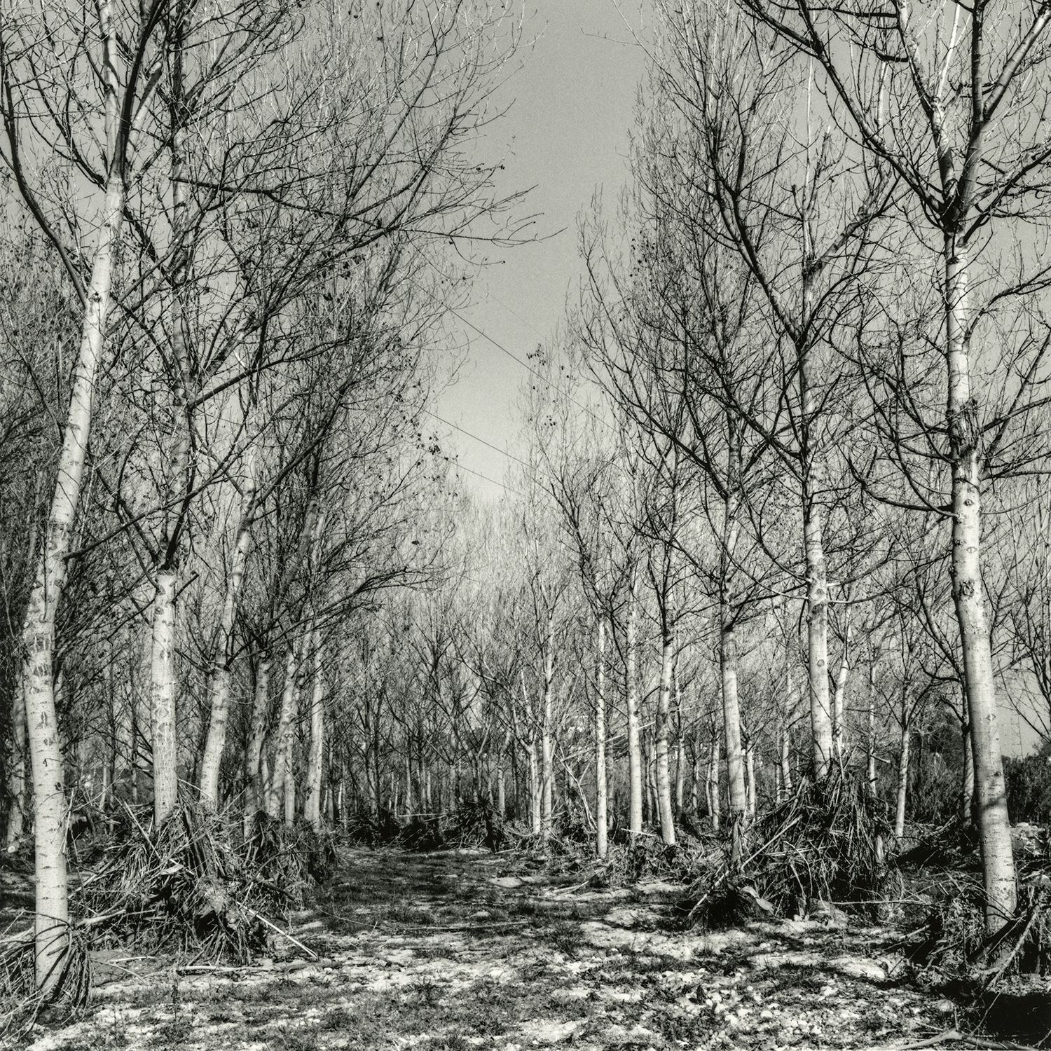 Zona Riu Francolí | Cornadó Serra, Ramon