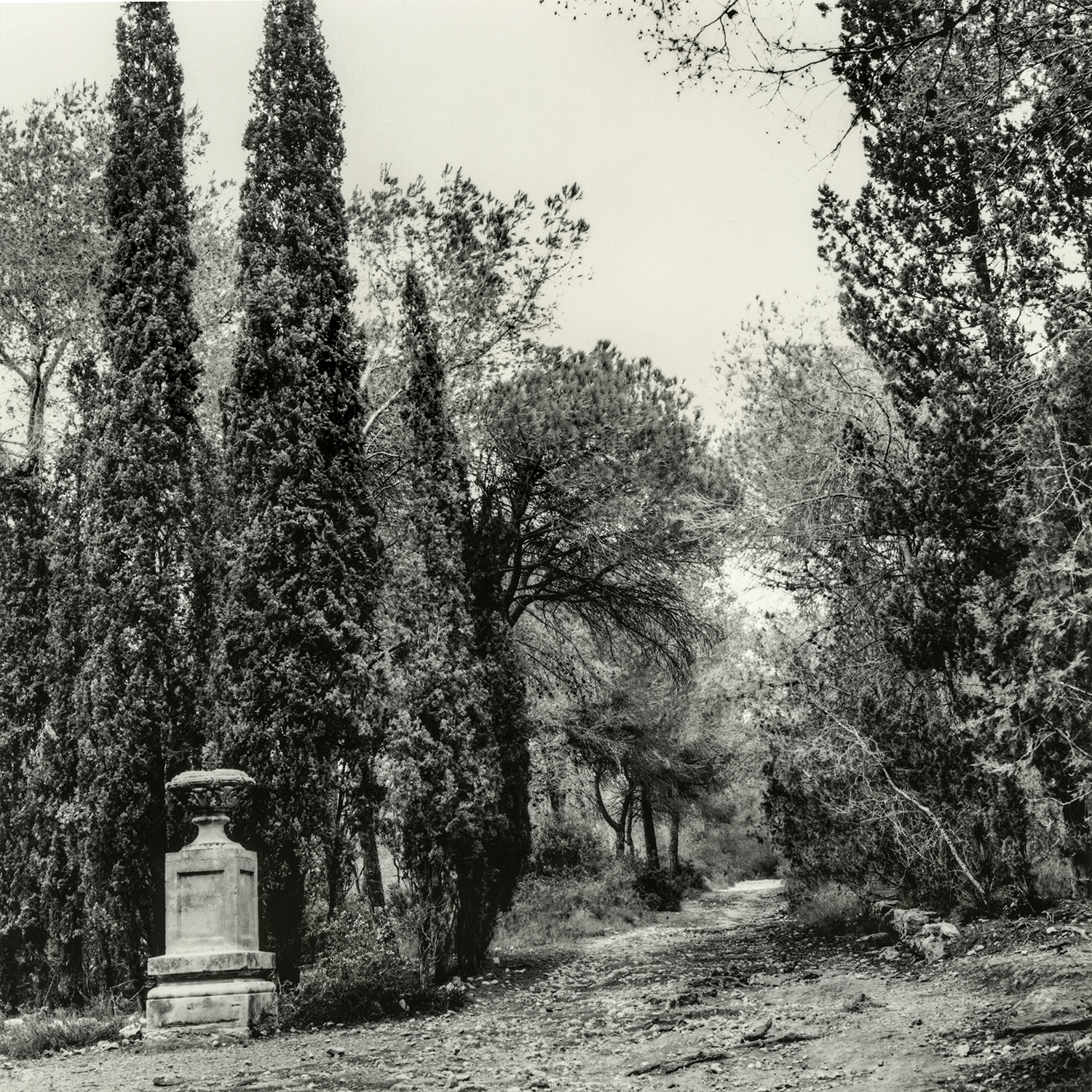 Zona Mas de l'Àngel | Cornadó Serra, Ramon