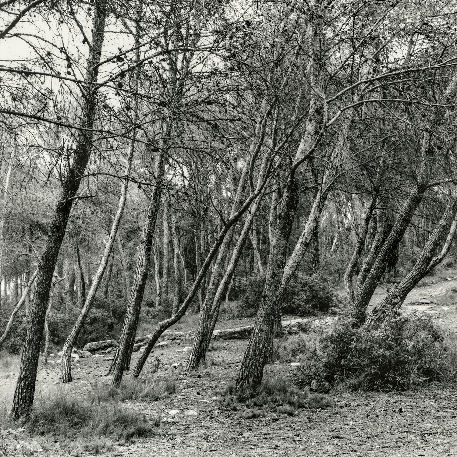 Zona Aqüeducte de les Ferreres | Cornadó Serra, Ramon