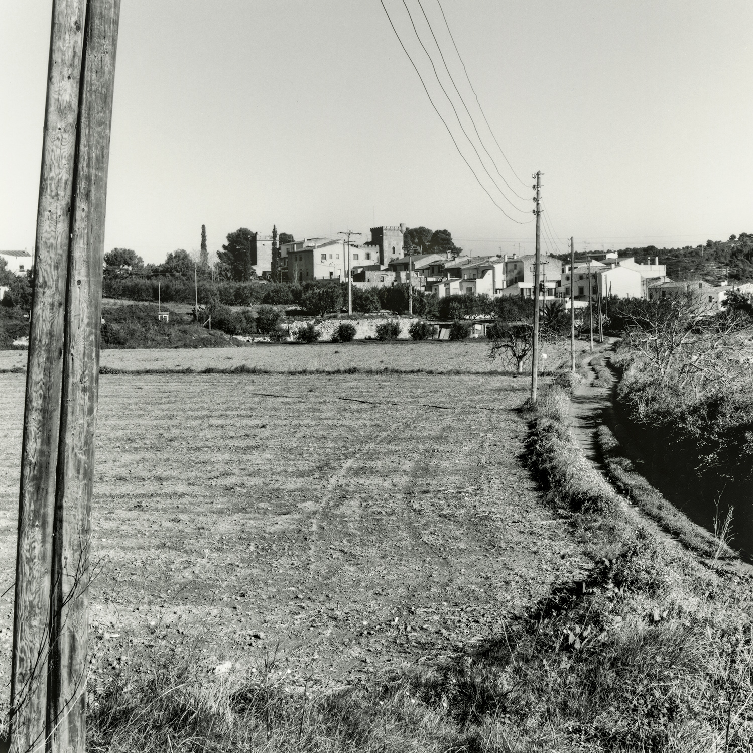 Ferran | Cornadó Serra, Ramon
