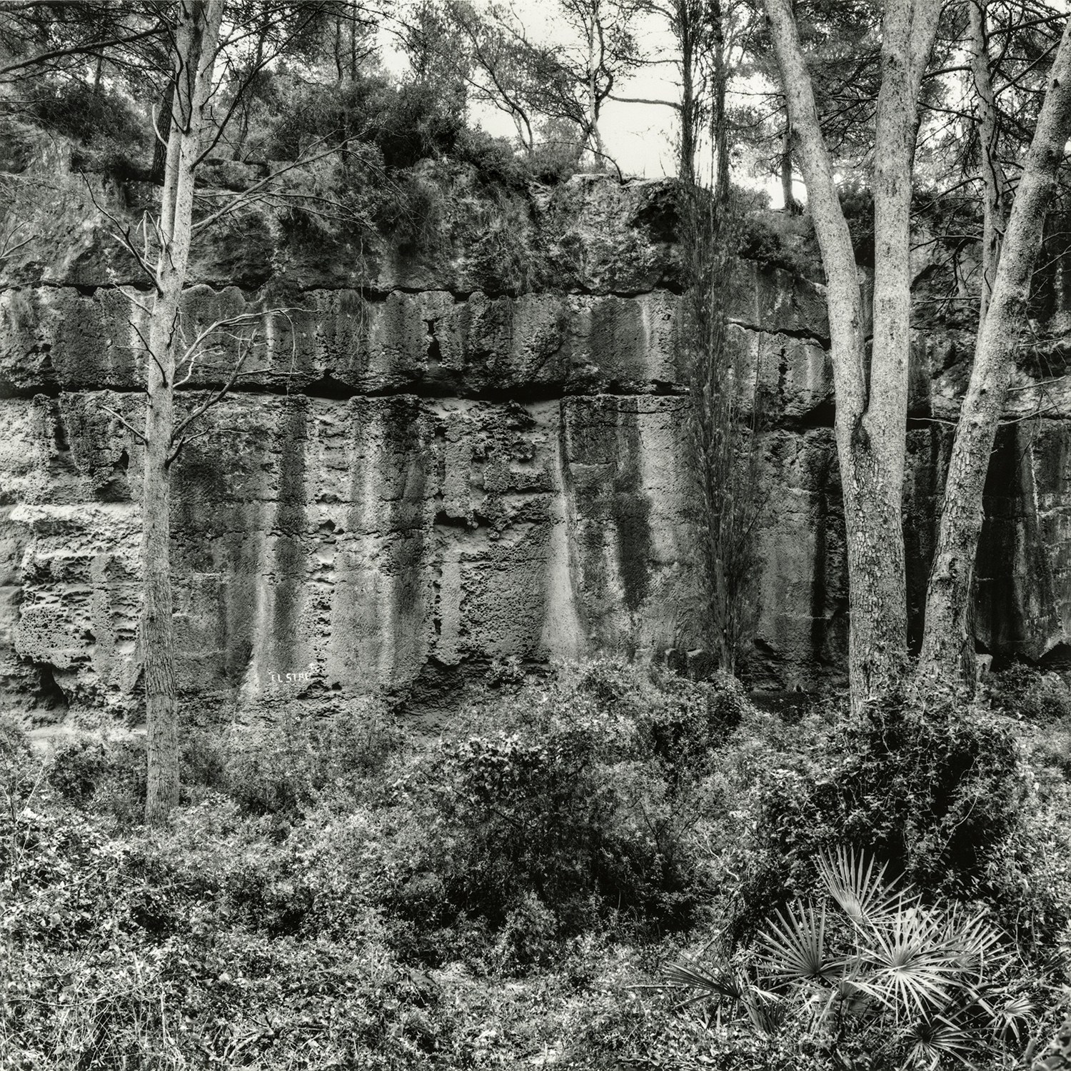 El Mèdol | Cornadó Serra, Ramon