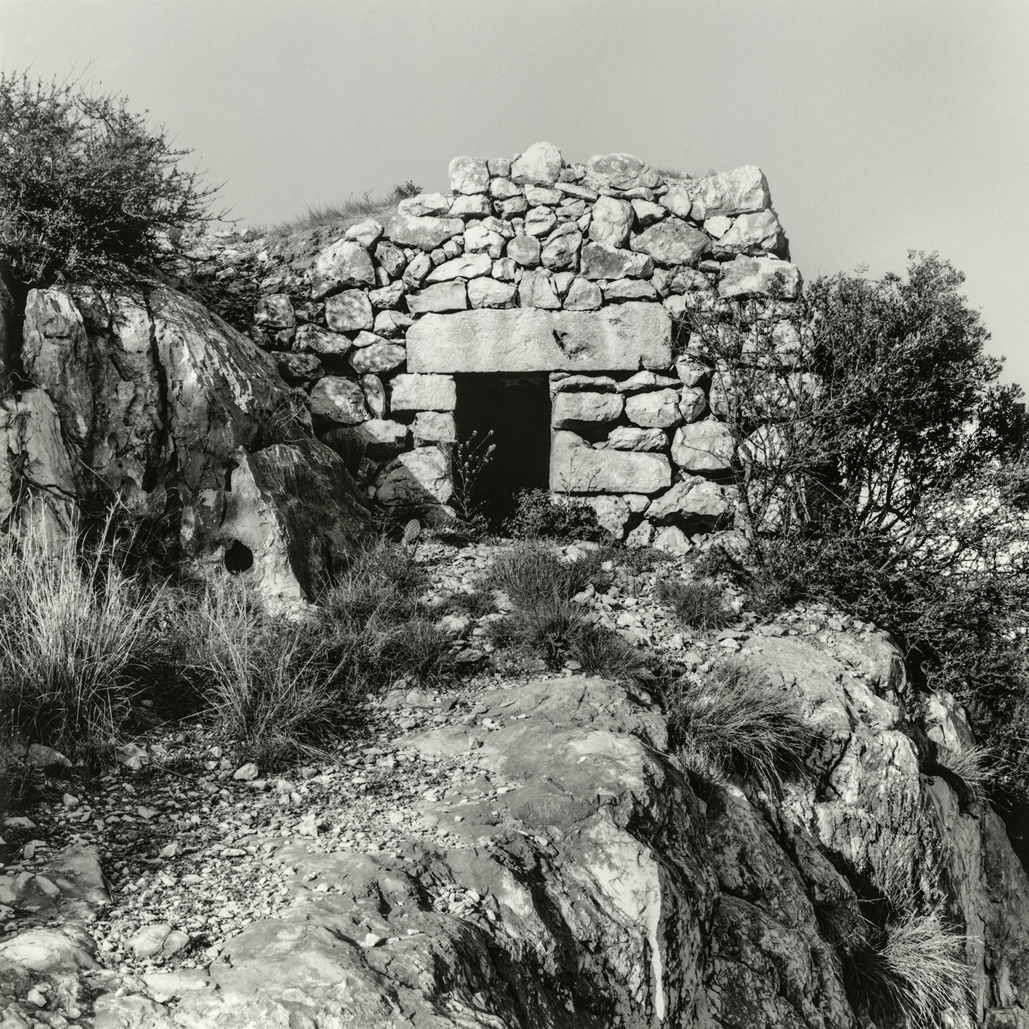 Terres Cavades | Cornadó Serra, Ramon