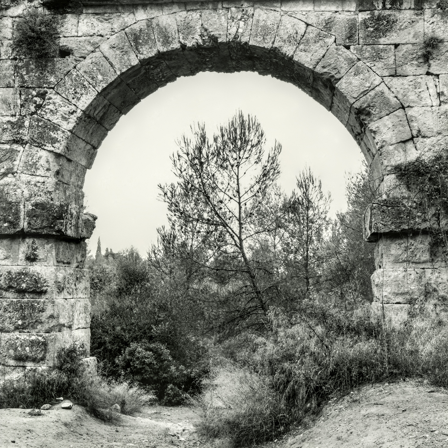 Aqüeducte de les Ferreres-Pont del Diable | Cornadó Serra, Ramon