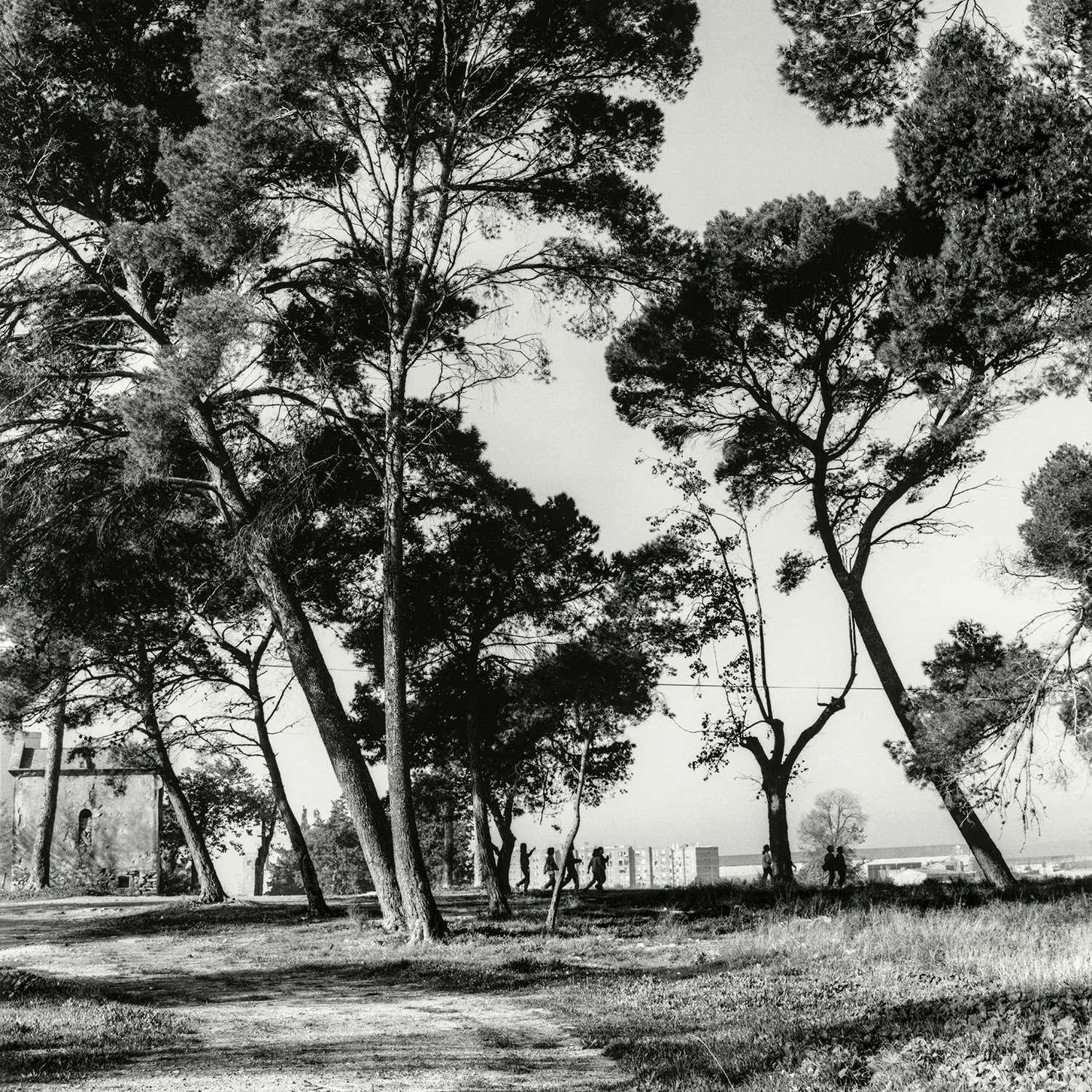 Parc Riu Clar | Cornadó Serra, Ramon