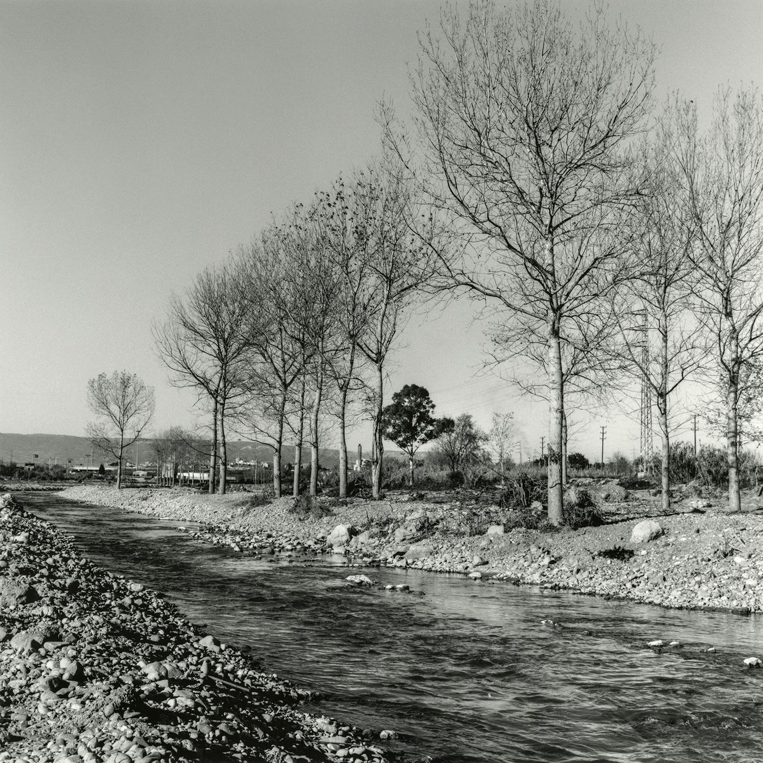 Riu Francolí | Cornadó Serra, Ramon