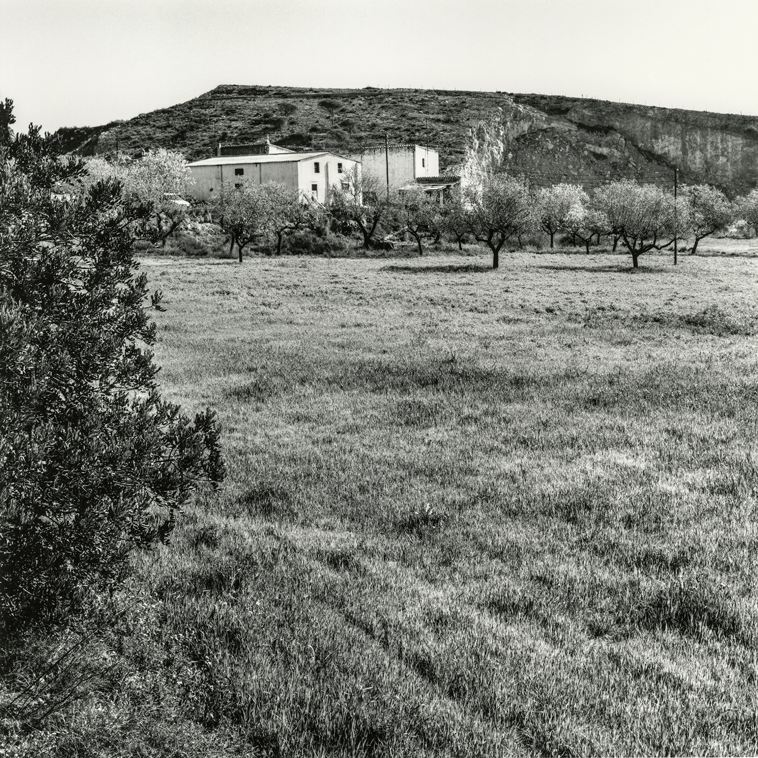 Zona Camí del Llorito | Cornadó Serra, Ramon
