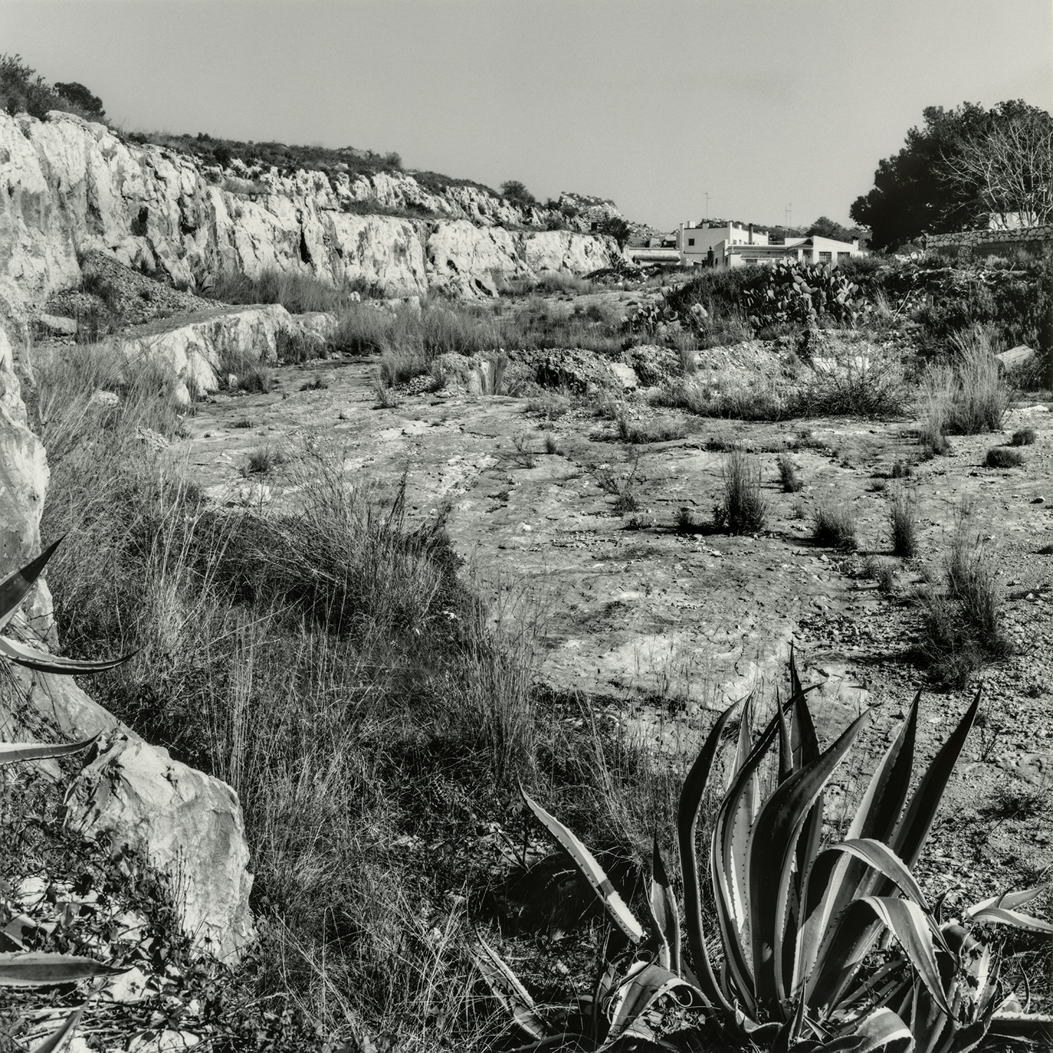 Terres Cavades. Pedrera | Cornadó Serra, Ramon