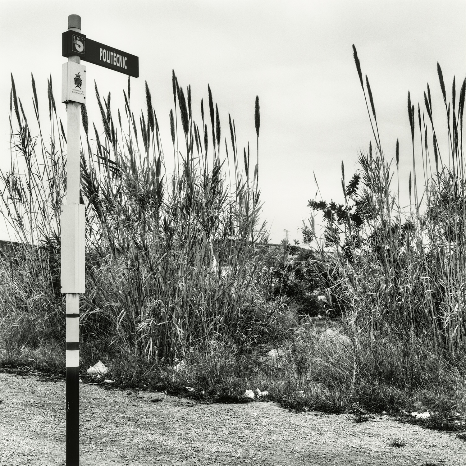 Zona Educacional | Cornadó Serra, Ramon