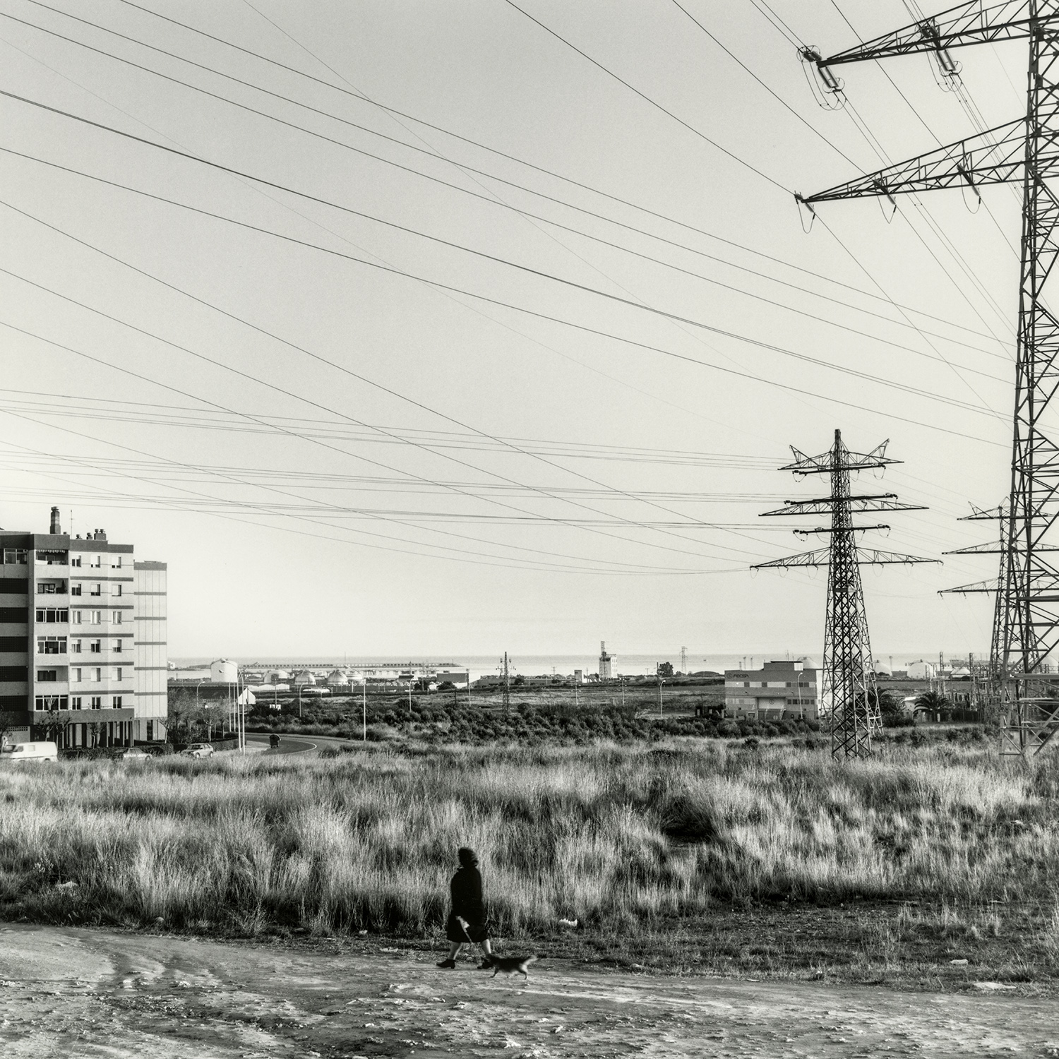 Campclar | Cornadó Serra, Ramon