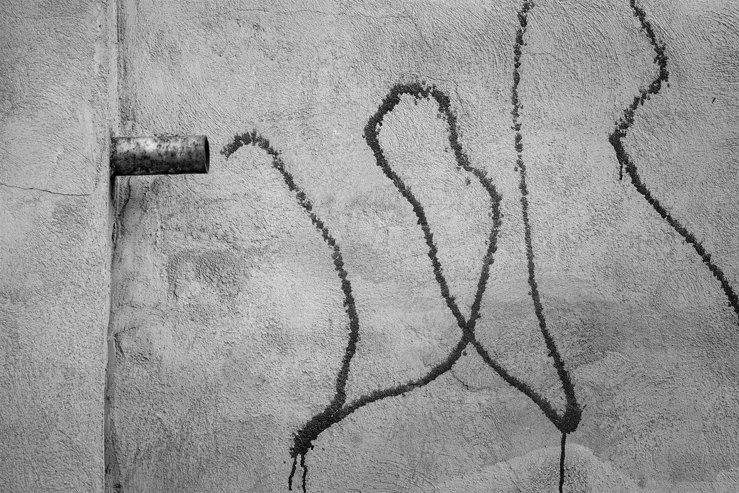 Diàlegs callats-12 | Cornadó Serra, Ramon