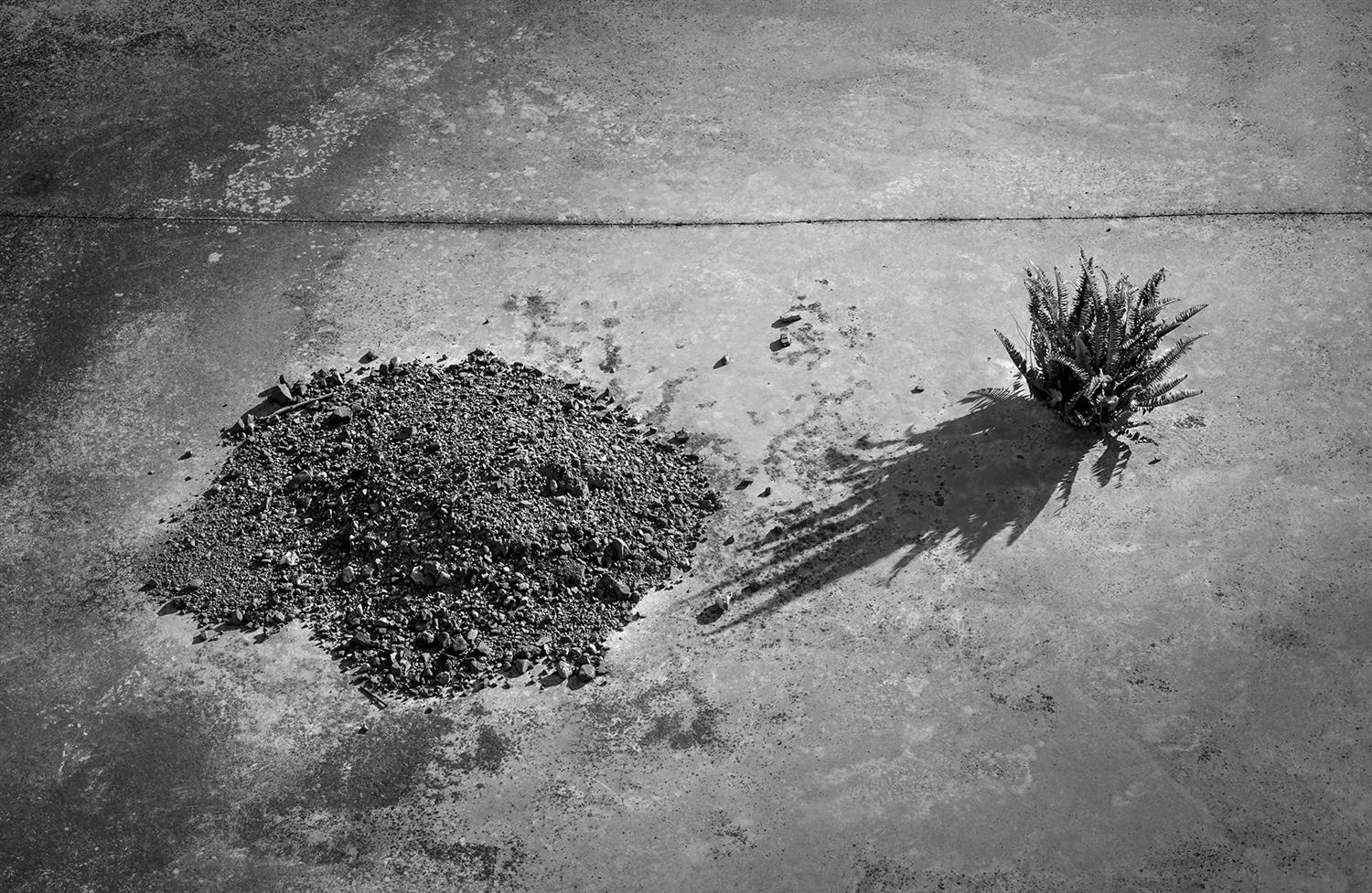 Diàlegs callats-31 | Cornadó Serra, Ramon