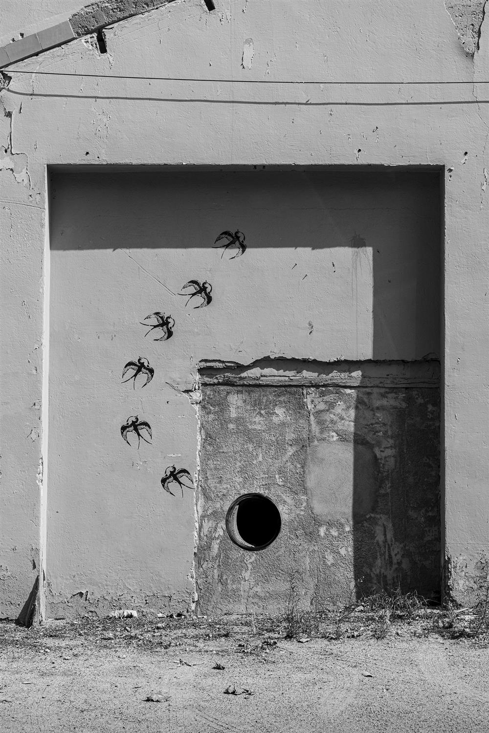Diàlegs callats-111 | Cornadó Serra, Ramon