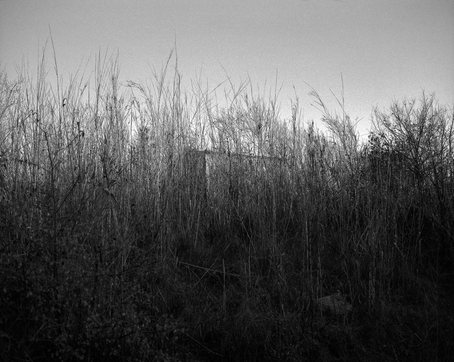 Sense títol #4 | Boyer Ballesteros, Gerard