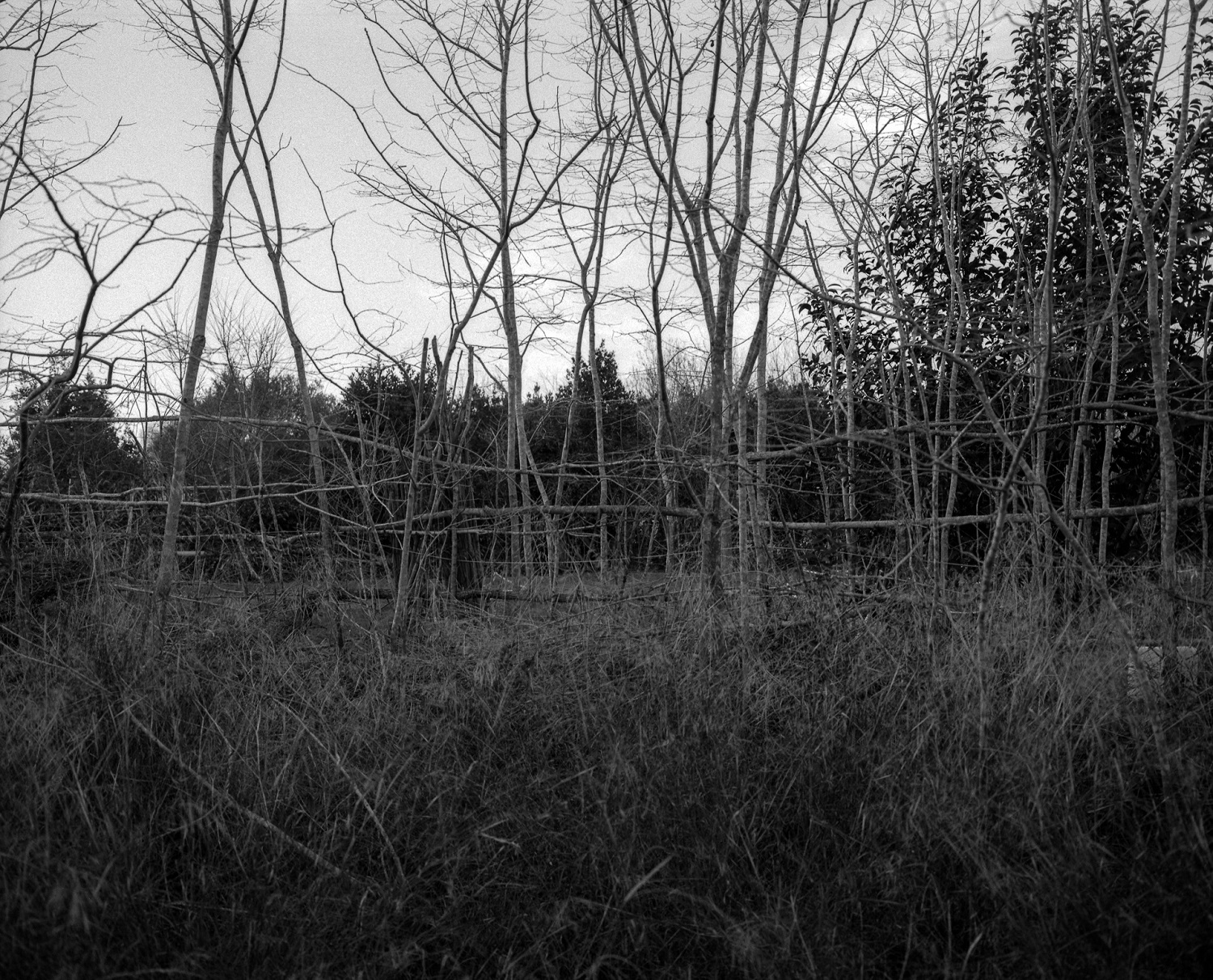 Sense títol #9 | Boyer Ballesteros, Gerard