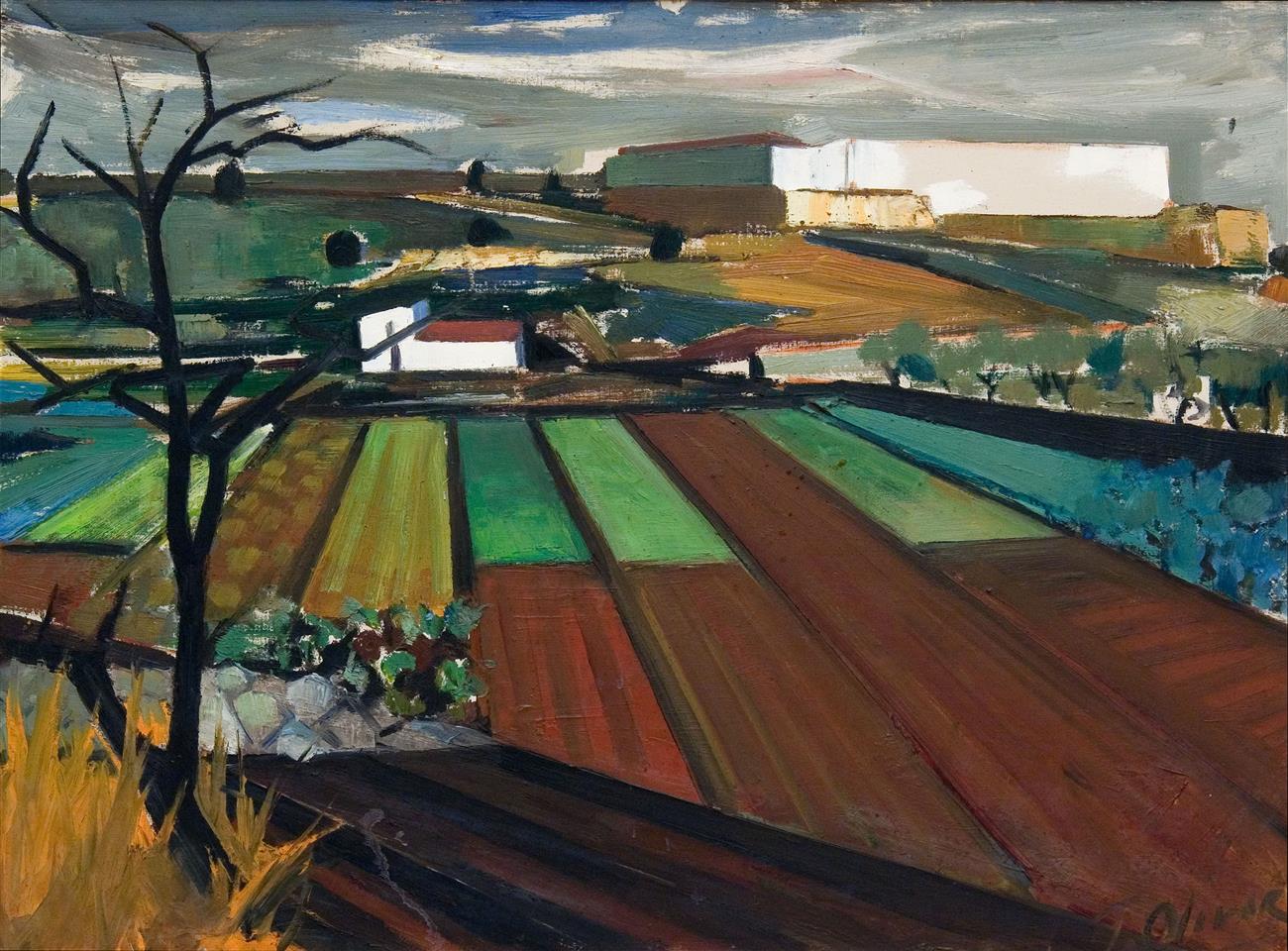 Casablanca. Campos-huerta | Olivar Duro, Tomás