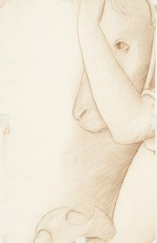 Perfil de caballo con brazo